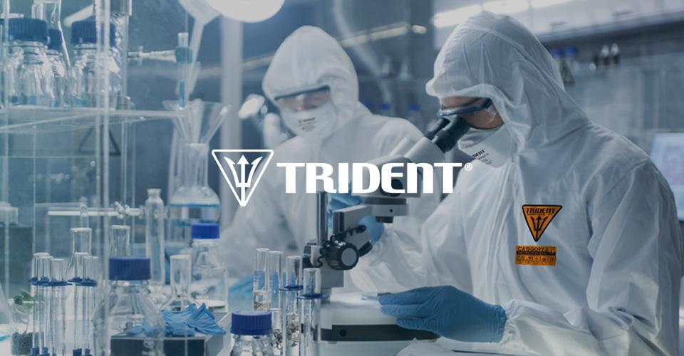TRIDENT